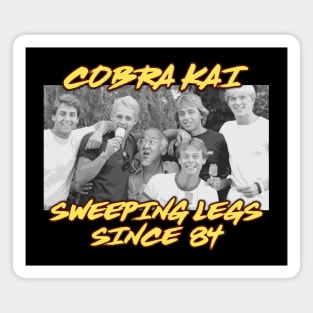 Cobra Kai Vintage Team (Miyagi)('84) Magnet